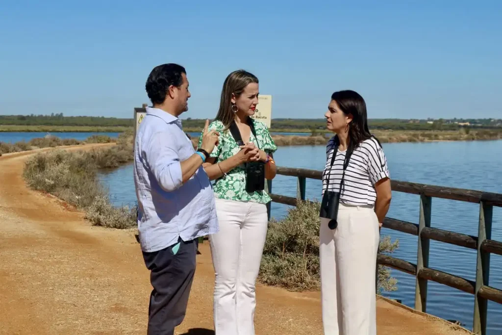 Narcotráfico en Huelva: Impacto económico, legal y social en 2026