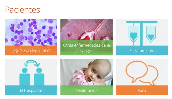 Trasplante de médula ósea en España: cifras, tendencias y desafíos 2025