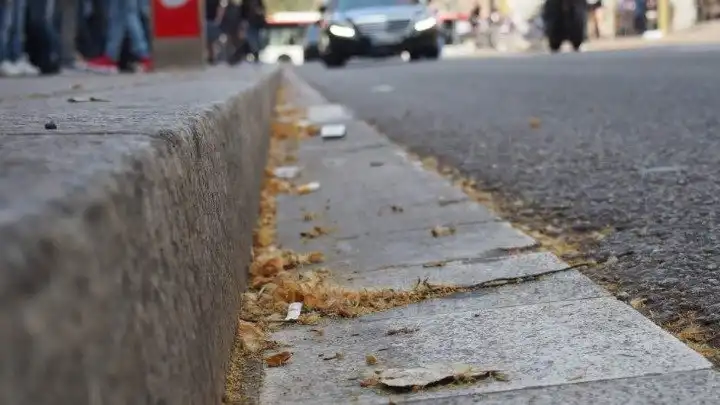 Plataneros en Barcelona: ¿por qué el polen de plátano afecta tanto a los alérgicos?