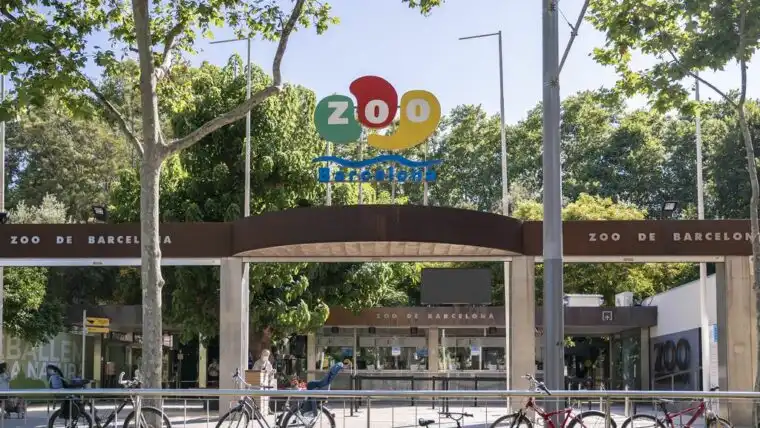 Ayudas Fundació Barcelona Zoo 2026 para investigación en bienestar animal y biodiversidad