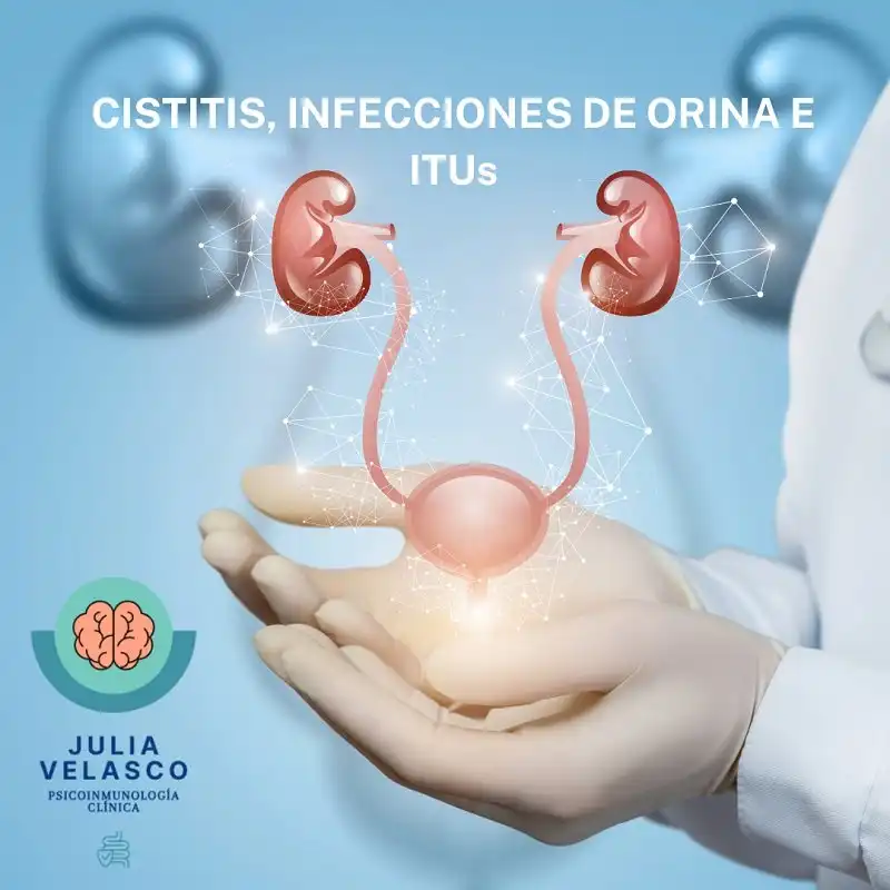 Infección de orina: causas, síntomas y factores de riesgo según expertos