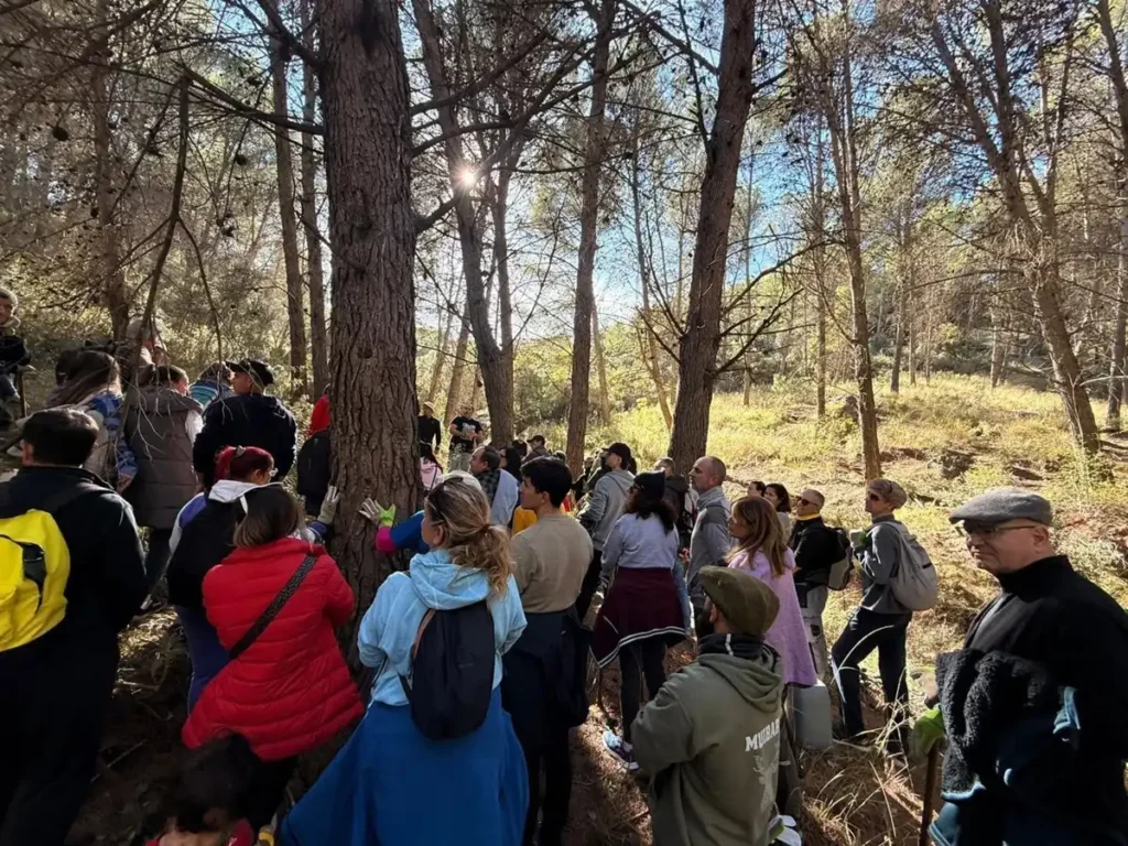 Voluntarios en la reforestación de pinsapos en Sierra de las Nieves