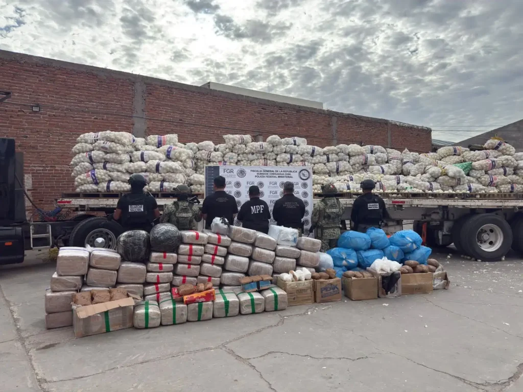 Detenido por envío de droga por paquetería en Málaga: 7 kg de marihuana intervenidos
