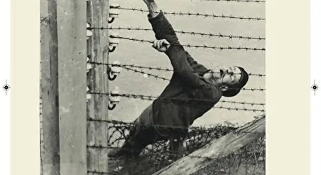 Liberación de Mauthausen: ¿qué significa 81 años después para la memoria histórica y la democracia?