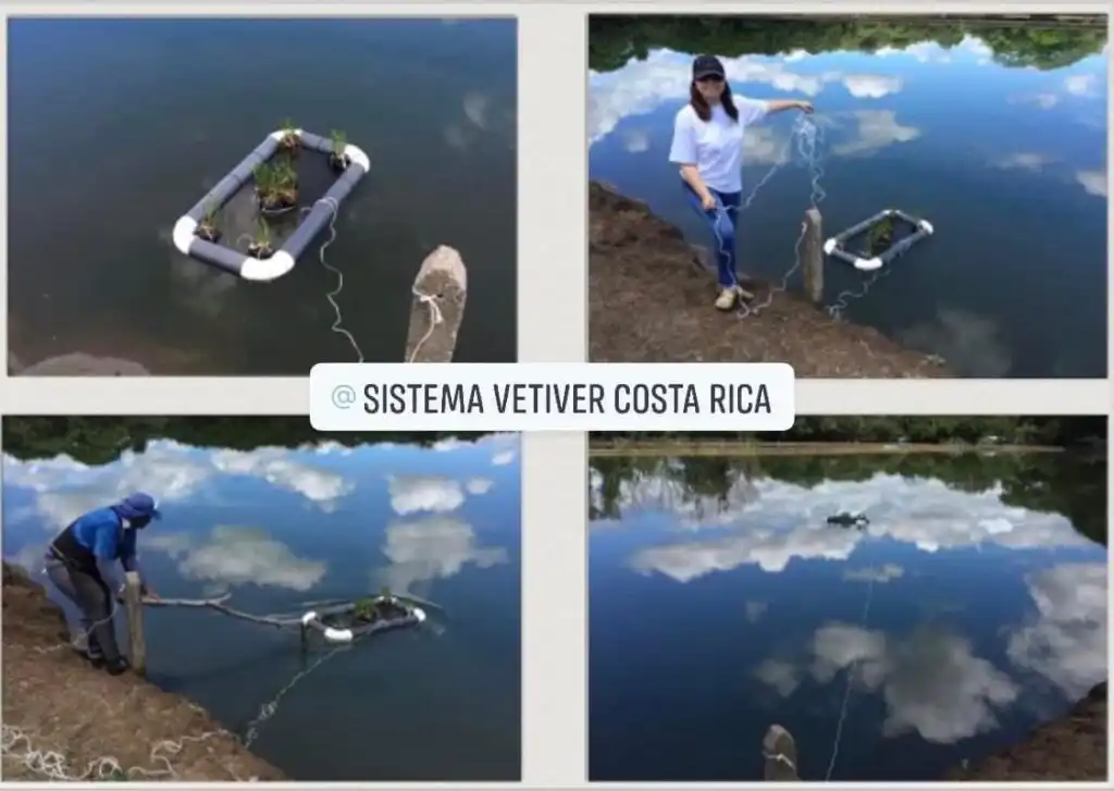 Repsol regulariza gasolinera de Vilarrodís: ¿cómo corrige su sistema de aguas contaminadas?
