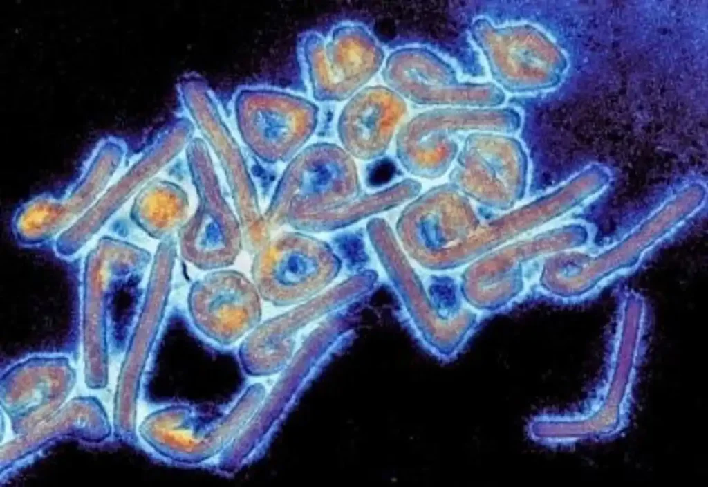 Unidades de alto aislamiento en España: ¿cómo funcionan ante brotes como el de hantavirus?
