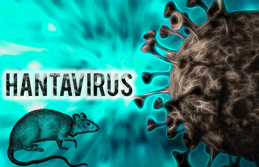¿Qué es el hantavirus y cuál es el riesgo real para España en 2026?