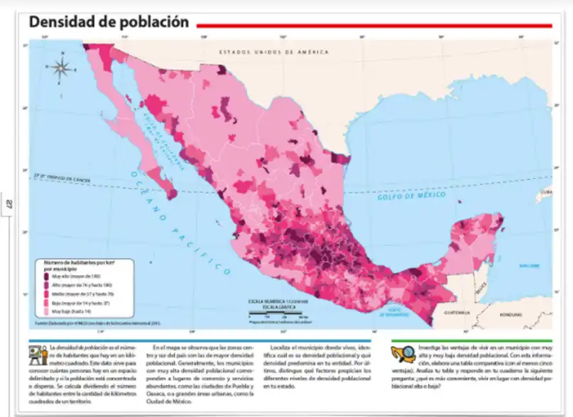 Hantavirus en crucero: ¿realmente hay riesgo para la población general?