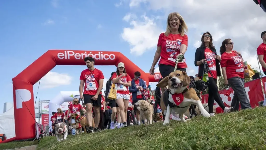 Can We Run Barcelona 2026: carrera solidaria con perros y su impacto social