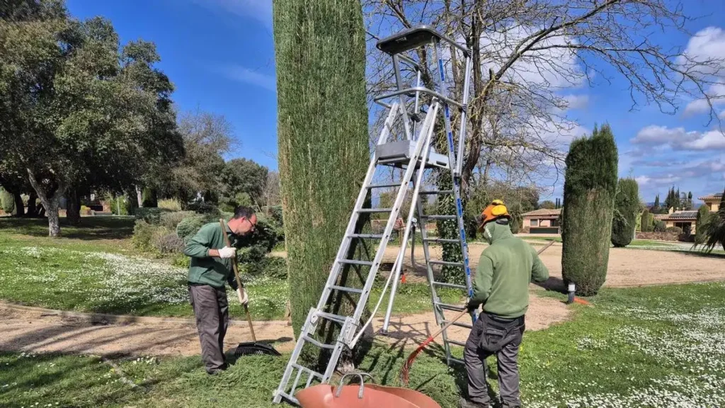 Rentabilidad de empresas de jardinería en España: análisis real de facturación y márgenes