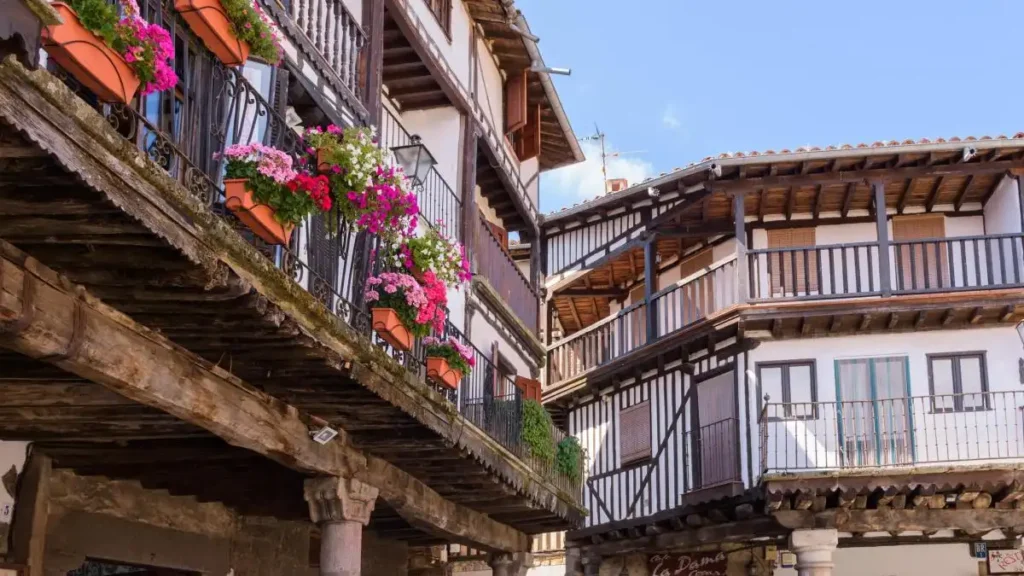 Marrano de San Antón en La Alberca: tradición, ética y cambio social