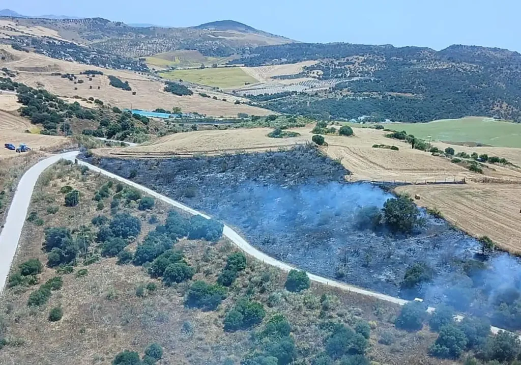 Incendio forestal Almogía 2026: causas, respuesta y riesgo creciente en Málaga