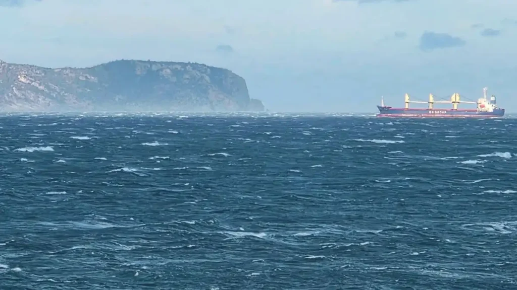 Parque eólico marino de Roses: primer proyecto de energía eólica flotante en Cataluña