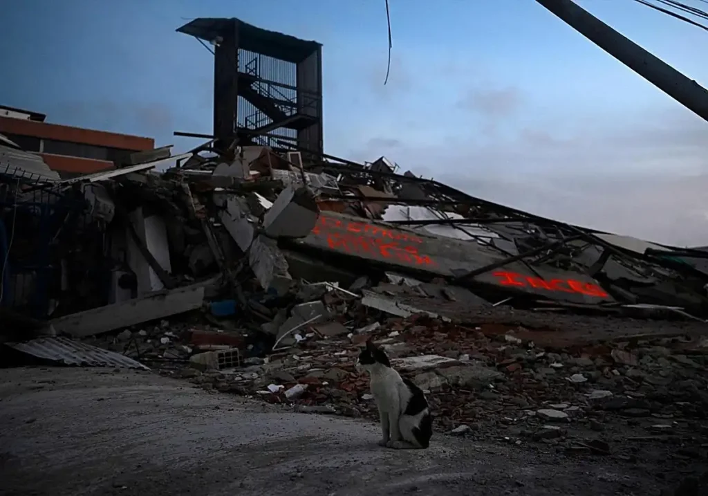 Españoles fallecidos en terremotos de Venezuela: cifras actualizadas y respuesta consular