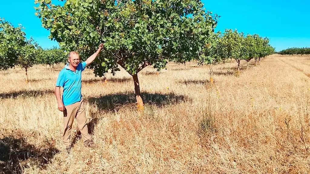Crisis del sector agrícola en Castilla y León: ¿cómo afecta el alza de costes a la producción de cereal?