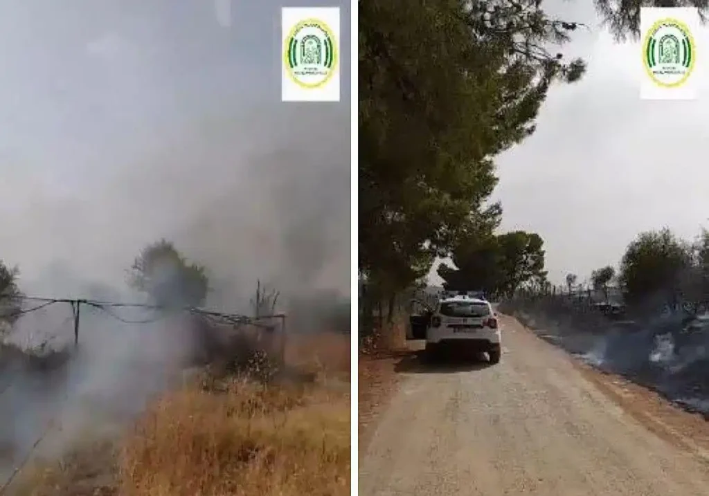 Qué es un incendio forestal y cómo actúa el Infoca en Pizarra: todo lo que necesitas saber