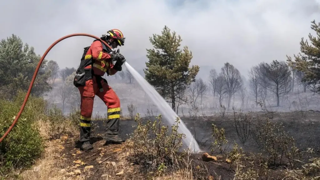 Incendio Guadalajara 2026: Impacto ecológico en el Parque Natural de la Sierra Norte