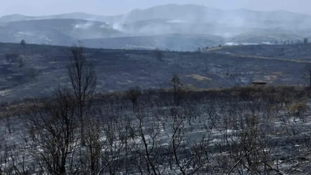 Incendio Guadalajara 2026: 32.000 hectáreas quemadas en Sierra Norte