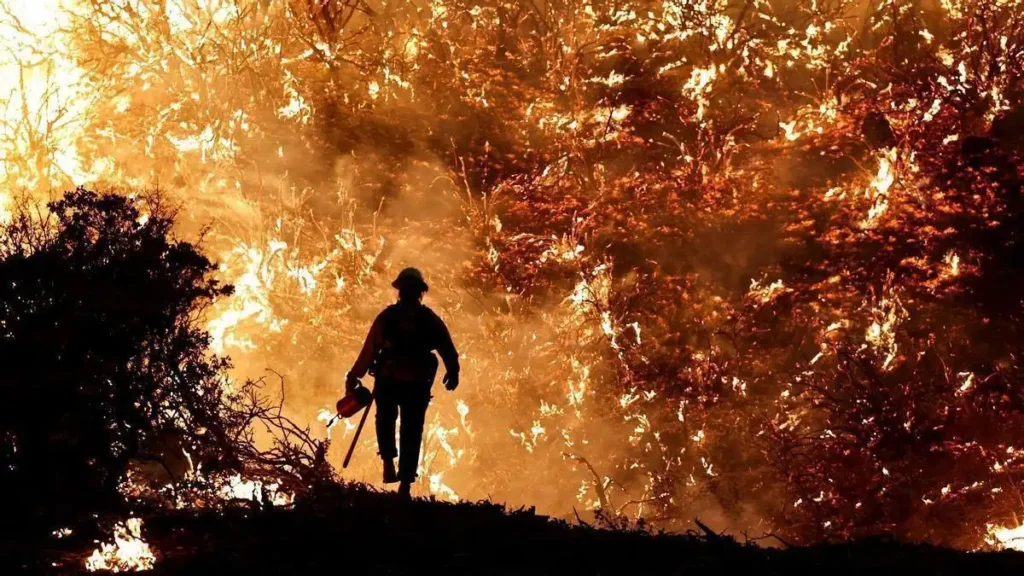 Incendios forestales en España: riesgo, respuesta y marco legal actual