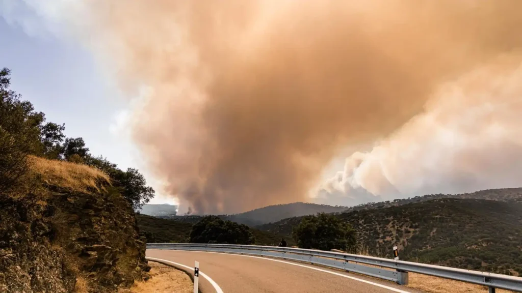 Incendios en Madrid 2026: respuesta coordinada, impacto económico y marco legal de emergencia