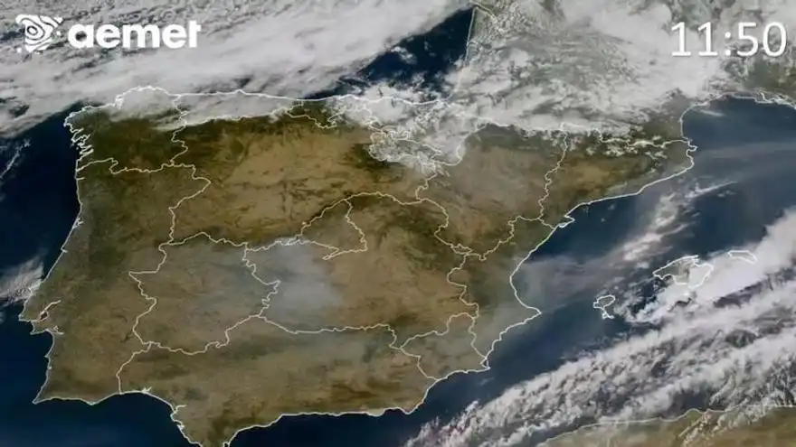Qué es el humo de los incendios forestales y cómo afecta tu salud respiratoria